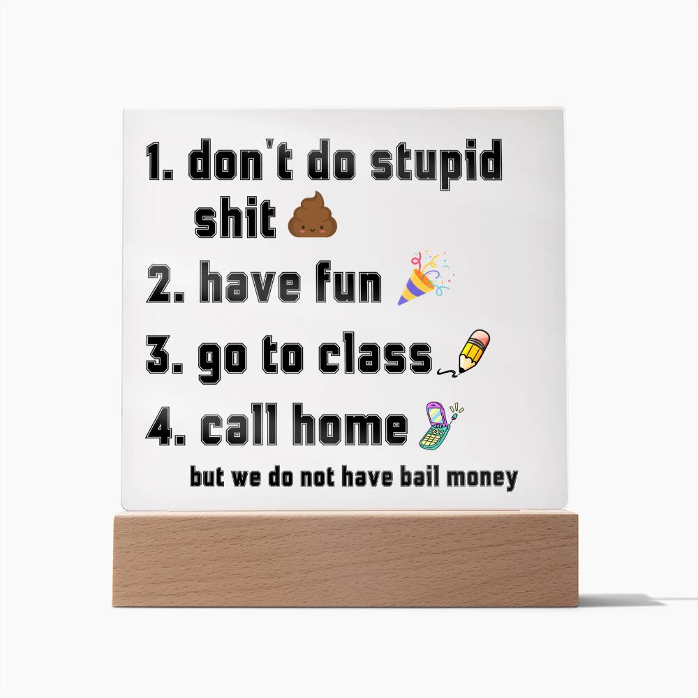 Have fun don't do stupid shit | Acrylic Sign Go to class Call home, Funny Gift for dorm, unisex gift, Going Away Gift Idea
