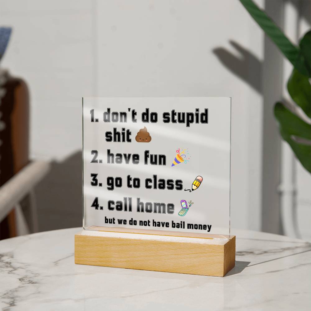 Have fun don't do stupid shit | Acrylic Sign Go to class Call home, Funny Gift for dorm, unisex gift, Going Away Gift Idea