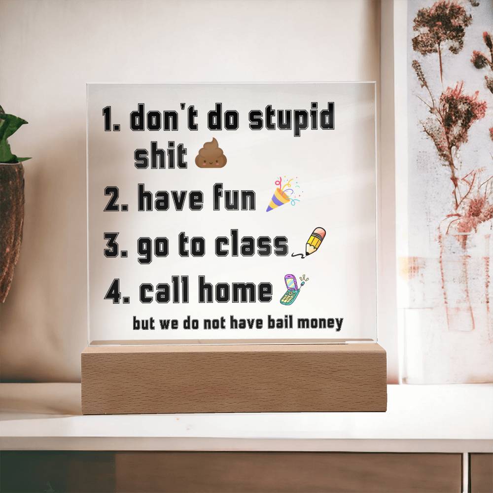 Have fun don't do stupid shit | Acrylic Sign Go to class Call home, Funny Gift for dorm, unisex gift, Going Away Gift Idea
