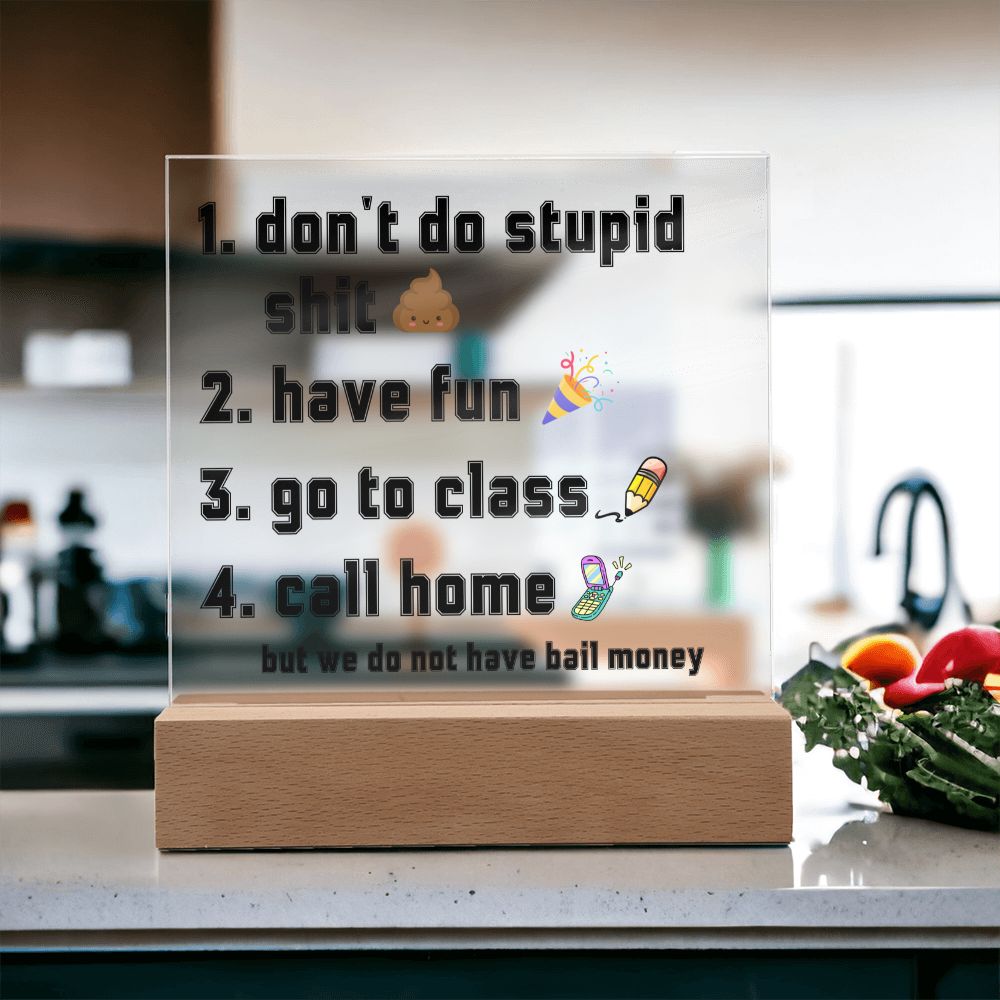 Have fun don't do stupid shit | Acrylic Sign Go to class Call home, Funny Gift for dorm, unisex gift, Going Away Gift Idea