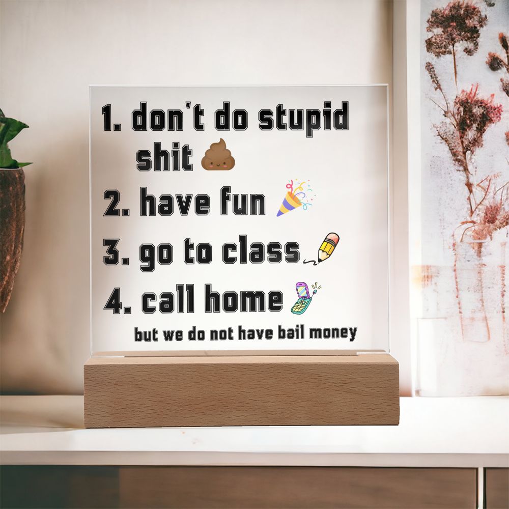 Have fun don't do stupid shit | Acrylic Sign Go to class Call home, Funny Gift for dorm, unisex gift, Going Away Gift Idea