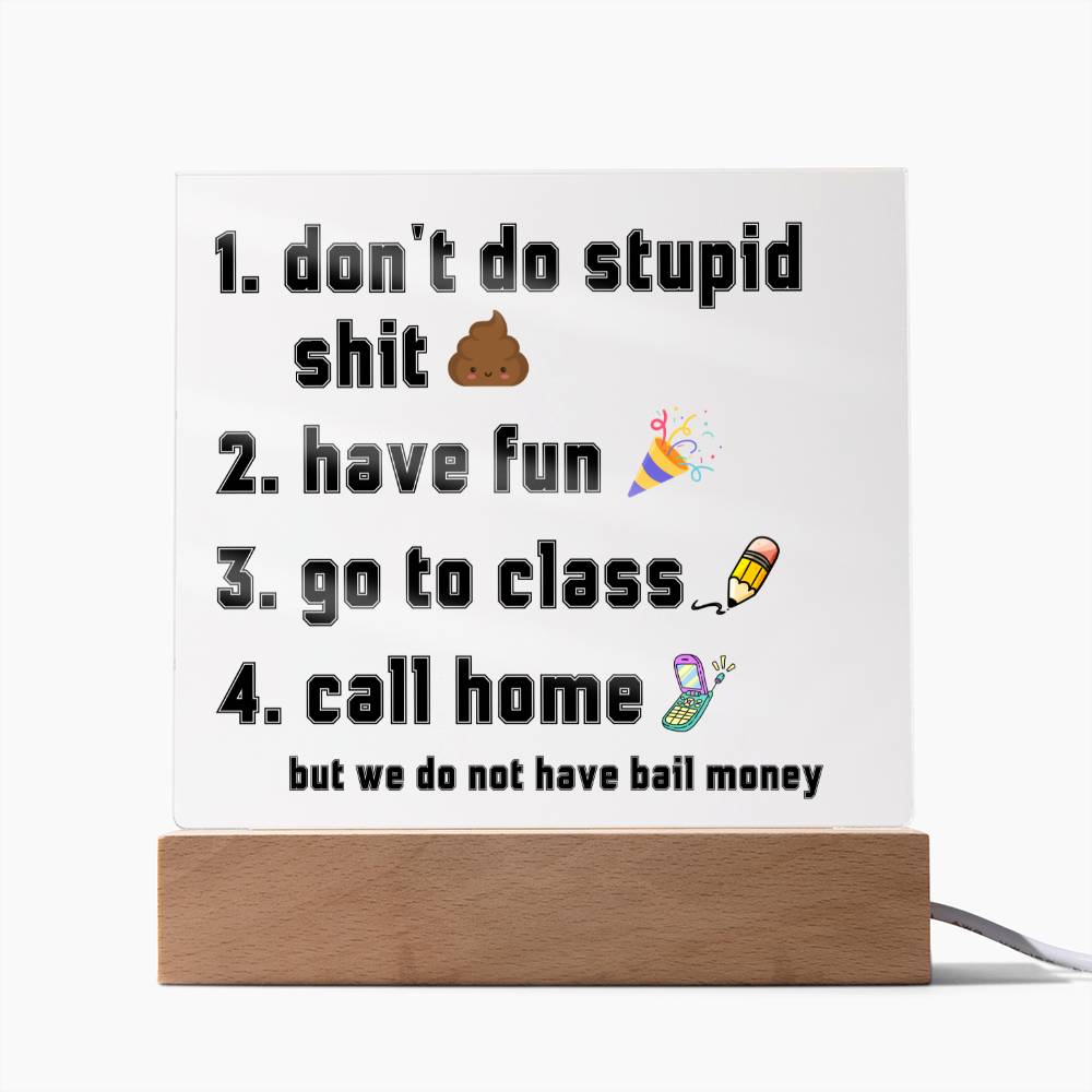 Have fun don't do stupid shit | Acrylic Sign Go to class Call home, Funny Gift for dorm, unisex gift, Going Away Gift Idea