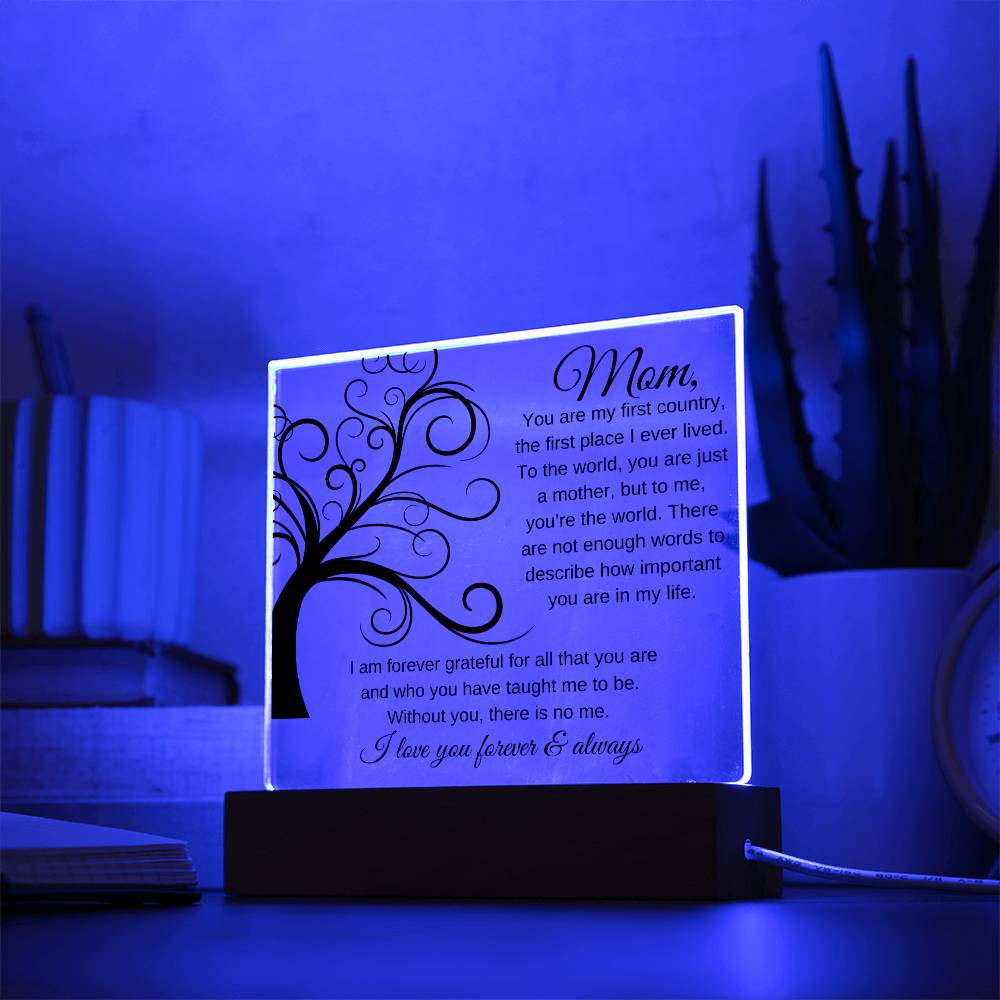 To Me You Are The World | Square Acrylic Plaque