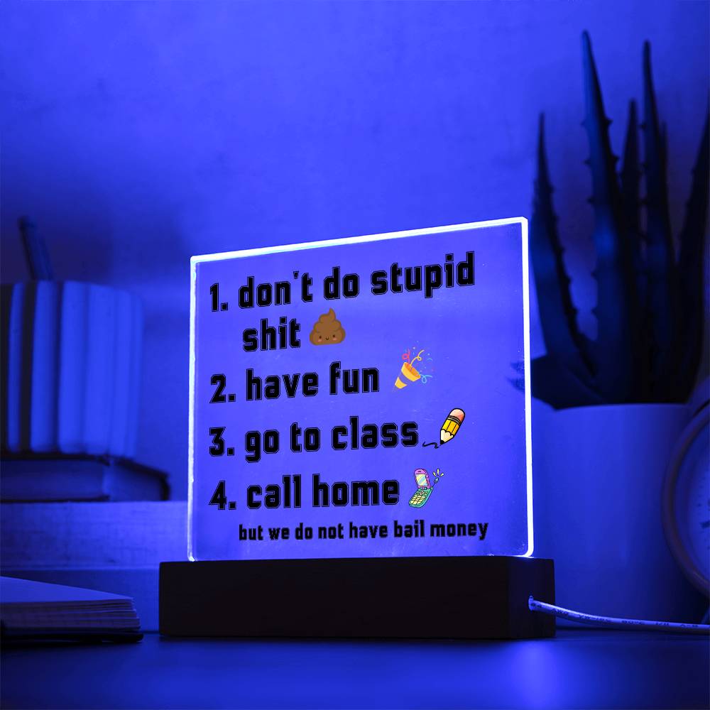 Have fun don't do stupid shit | Acrylic Sign Go to class Call home, Funny Gift for dorm, unisex gift, Going Away Gift Idea
