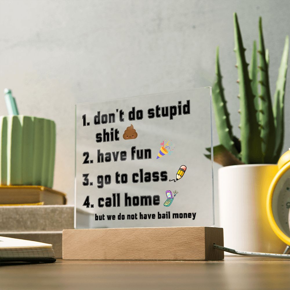 Have fun don't do stupid shit | Acrylic Sign Go to class Call home, Funny Gift for dorm, unisex gift, Going Away Gift Idea