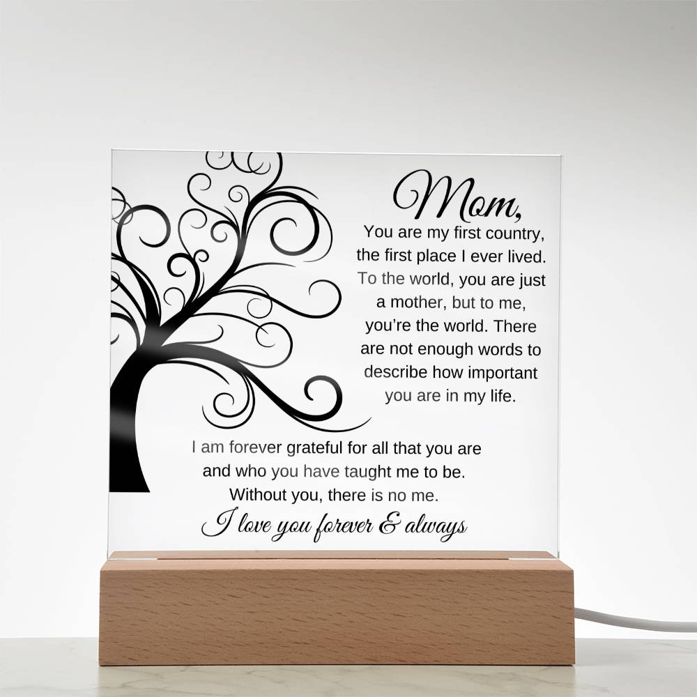 To Me You Are The World | Square Acrylic Plaque