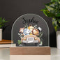 Personalized Baby Safari Friends Domed Acrylic Plaque, Baby Room Decor, Kids Room Decor, Kids Nightlight