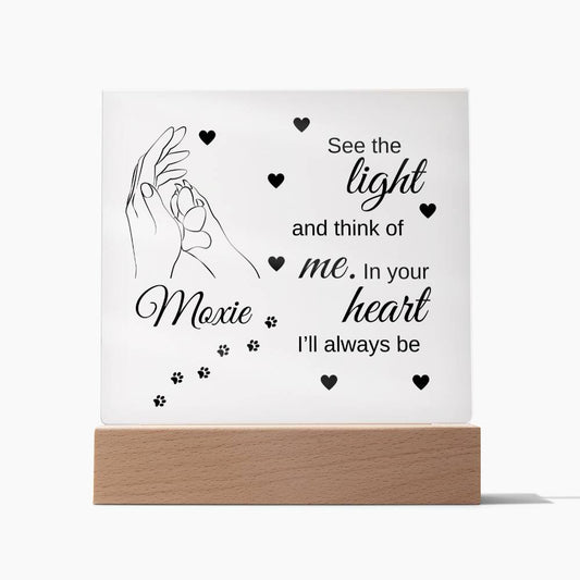 See The Light Pet Remembrance Square Acrylic Plaque