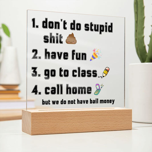 Have fun don't do stupid shit | Acrylic Sign Go to class Call home, Funny Gift for dorm, unisex gift, Going Away Gift Idea